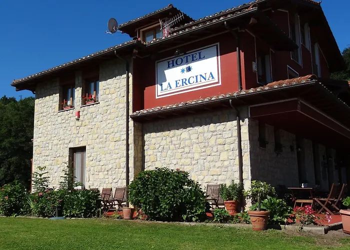 Hotel La Ercina 2*